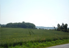 Ausblick
